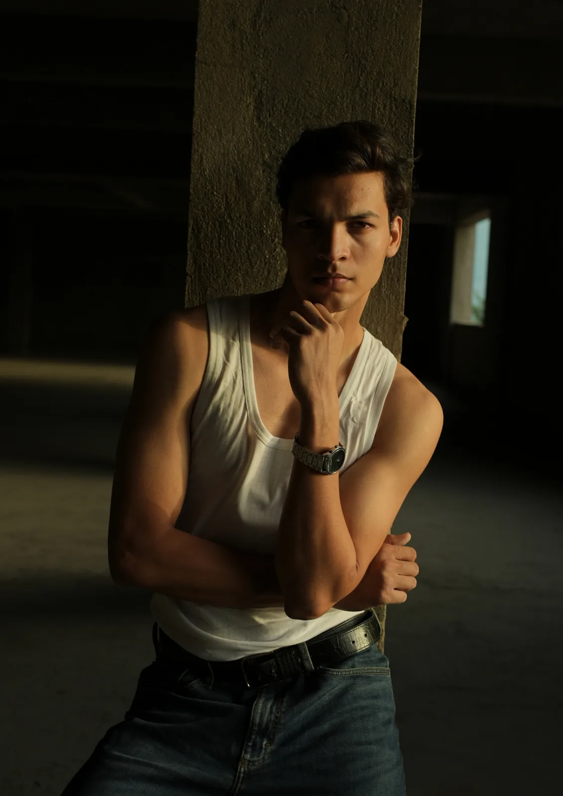 Chayan Shrimali - Cosmos Model Management