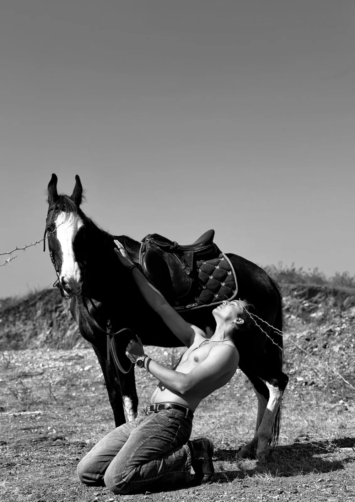Chayan Shrimali - Cosmos Model Management
