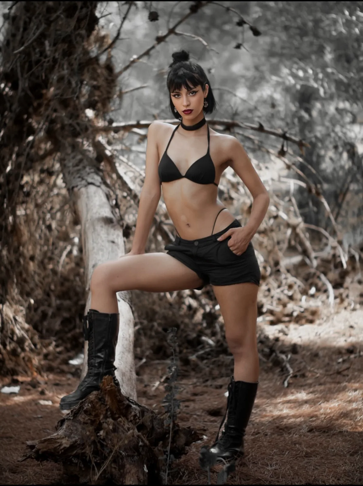 Ghaya Boulaares - Cosmos Model Management