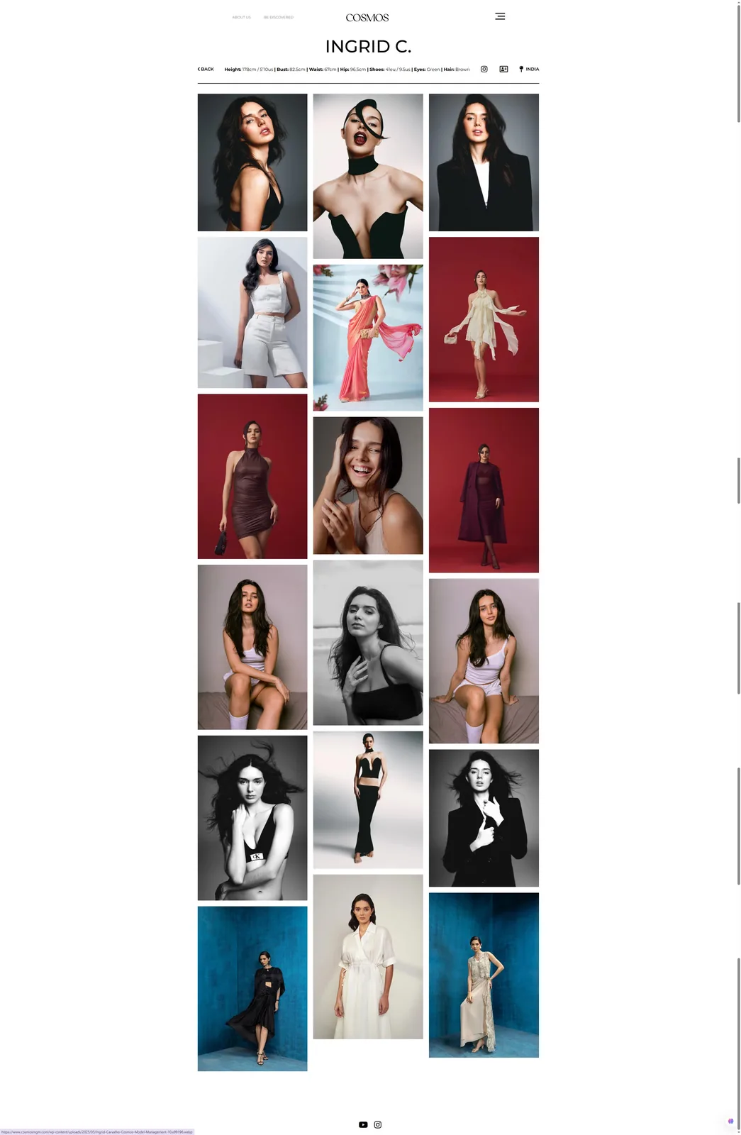Ingrid Carvalho - Cosmos Model Management