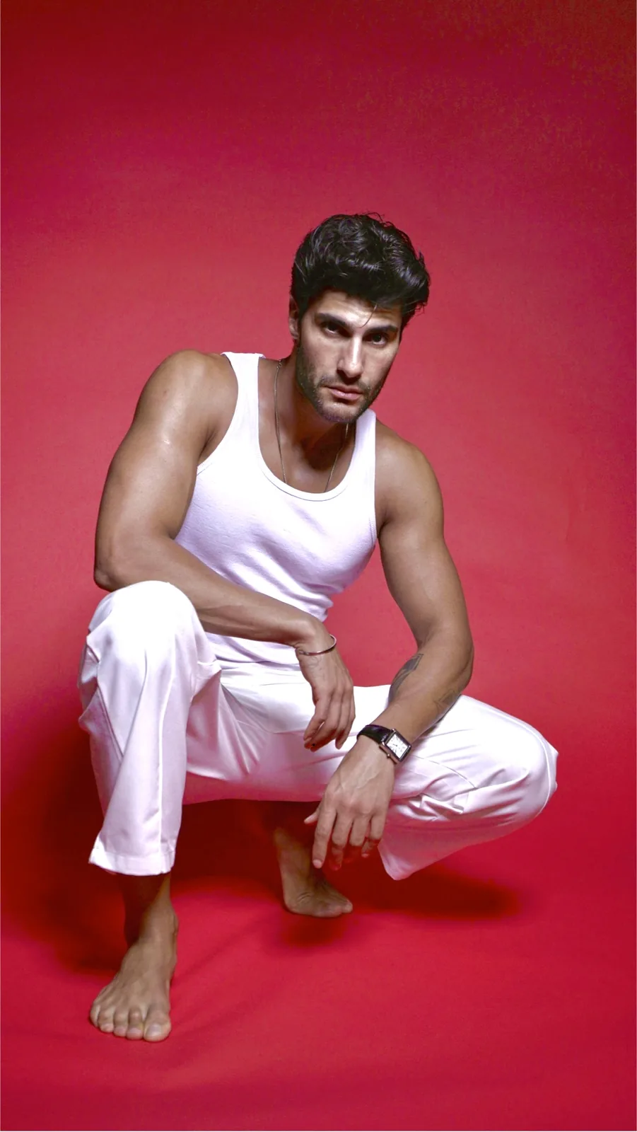 Mehdi Ghamari - Cosmos Model Management